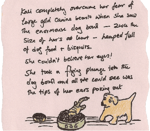 Cat In Dog Bowl