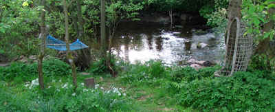 View past the swing seat to the river May 2007