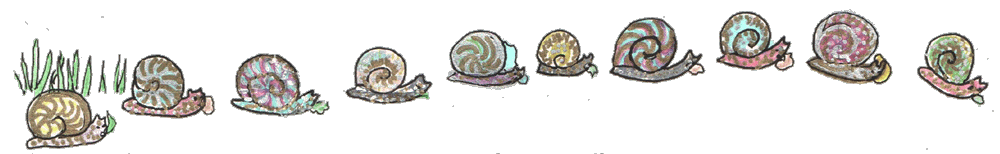 Lots of snails 